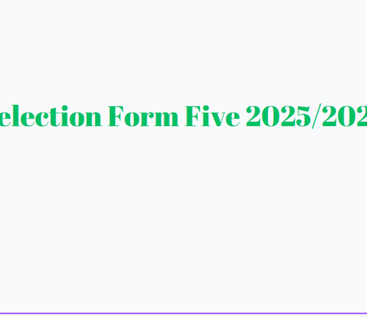 Selection Form Five 2025/2026 TAMISEMI