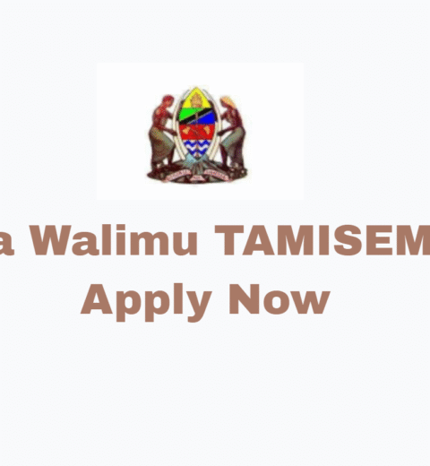 Admin and Finance Officer – MUHAS