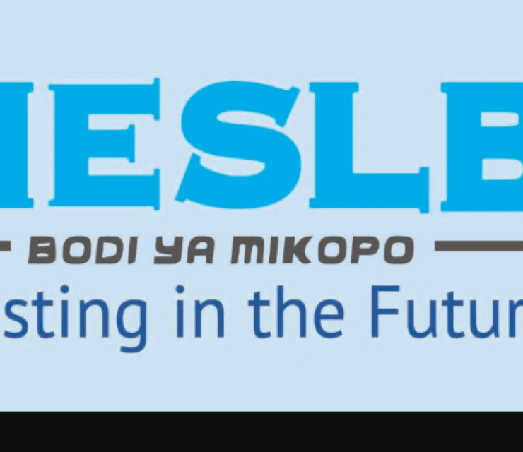 Waliopata Mkopo Diploma Loan Beneficiaries 2025/2026 HESLB