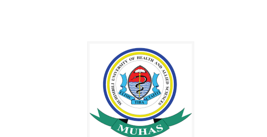 Admin and Finance Officer – MUHAS