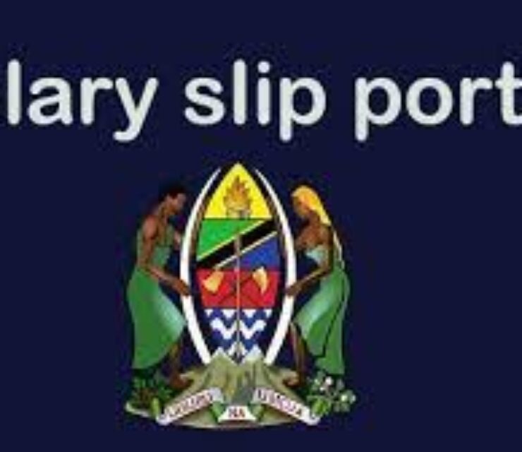 My Salary Slip Login Salary Slip Portal Tanzania Guide