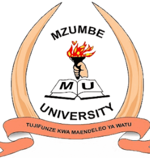 University of Dar es Salaam (UDSM) Entry requirements
